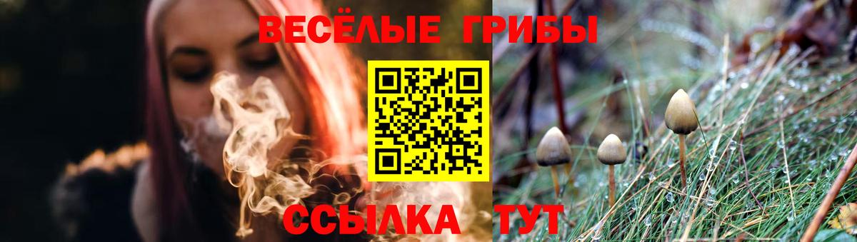Алапаевск  Галлюциногенные грибы прущие грибы  Вход с VPN 
