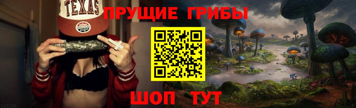 Галлюциногенные грибы Cubensis Алапаевск